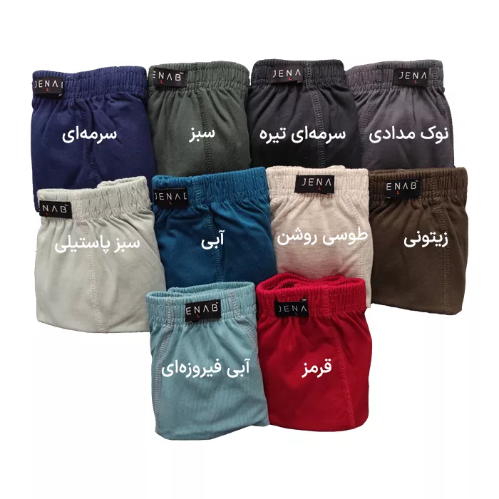  شورت مردانه پادار رنگی جناب مدل کلاسیک-رنگ بندی L